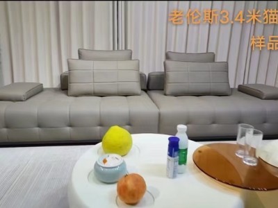 劳伦斯网红沙发图4