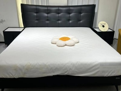 家齐家居  软床图2