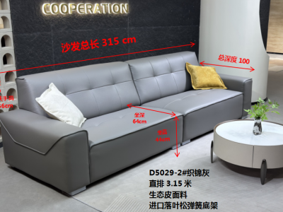 D5029-2#织棉灰 直排3.15米 特点：一款2色，生态皮面料，实木宽板框架图2