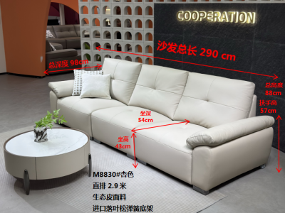 M8830#杏色 直排 2.9米 特点：生态皮面料，实木框架，海绵坐包，弹簧 底架，高密度海绵，坐感舒适图3