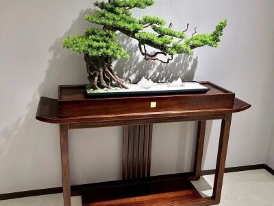 玄关图3