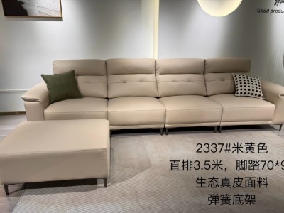 2025年新款软体沙发图5