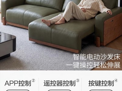 型号：F06# 面料：全生态皮/头层牛皮【可面料定制】 尺寸：2.1米/2.3米/2.5米/2.8米/3米/3.2米/ 材质：电动功能架 一拖二  进口2*10芬兰松木框架4.0弹簧绷带底架 高密度+图3