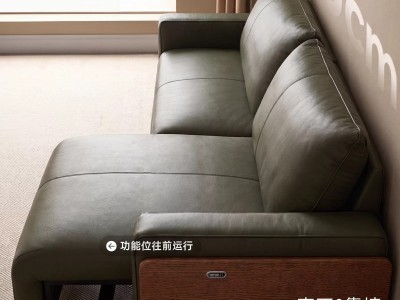 型号：F06# 面料：全生态皮/头层牛皮【可面料定制】 尺寸：2.1米/2.3米/2.5米/2.8米/3米/3.2米/ 材质：电动功能架 一拖二  进口2*10芬兰松木框架4.0弹簧绷带底架 高密度+图2